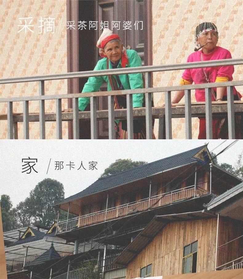 那卡茶是什么味,那卡茶的优缺点