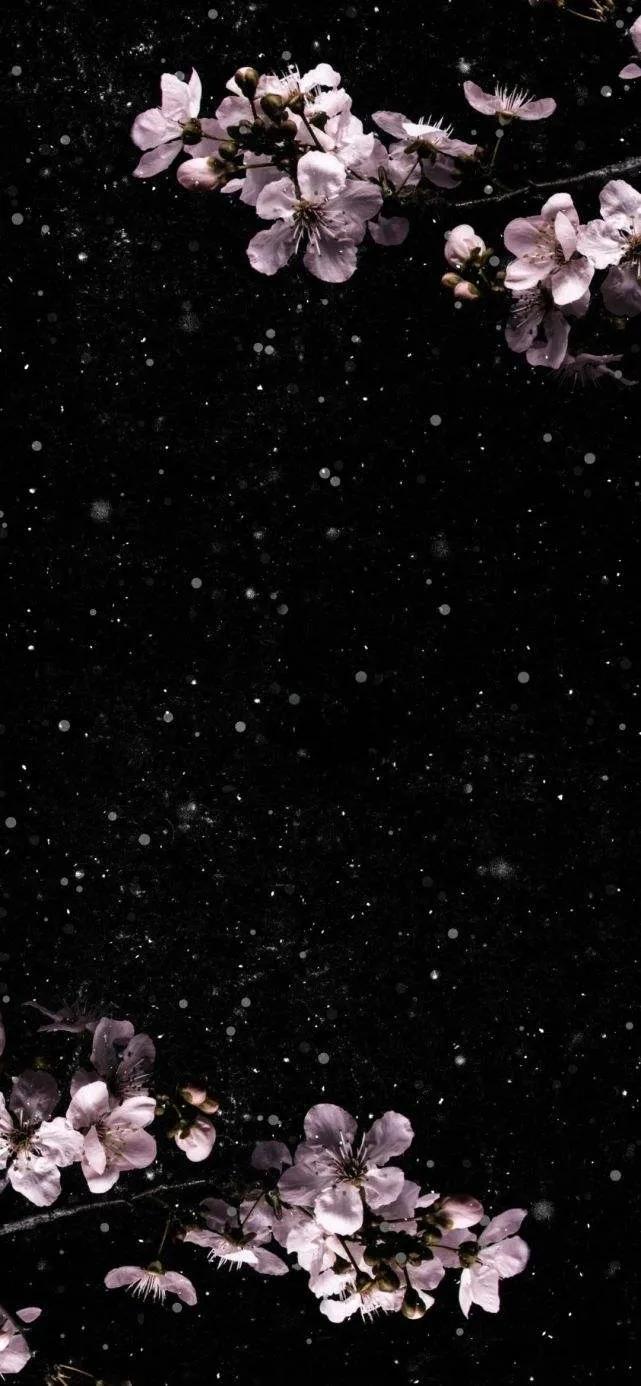 最美的光背景图片,超好看的夜晚蓝色的背景图