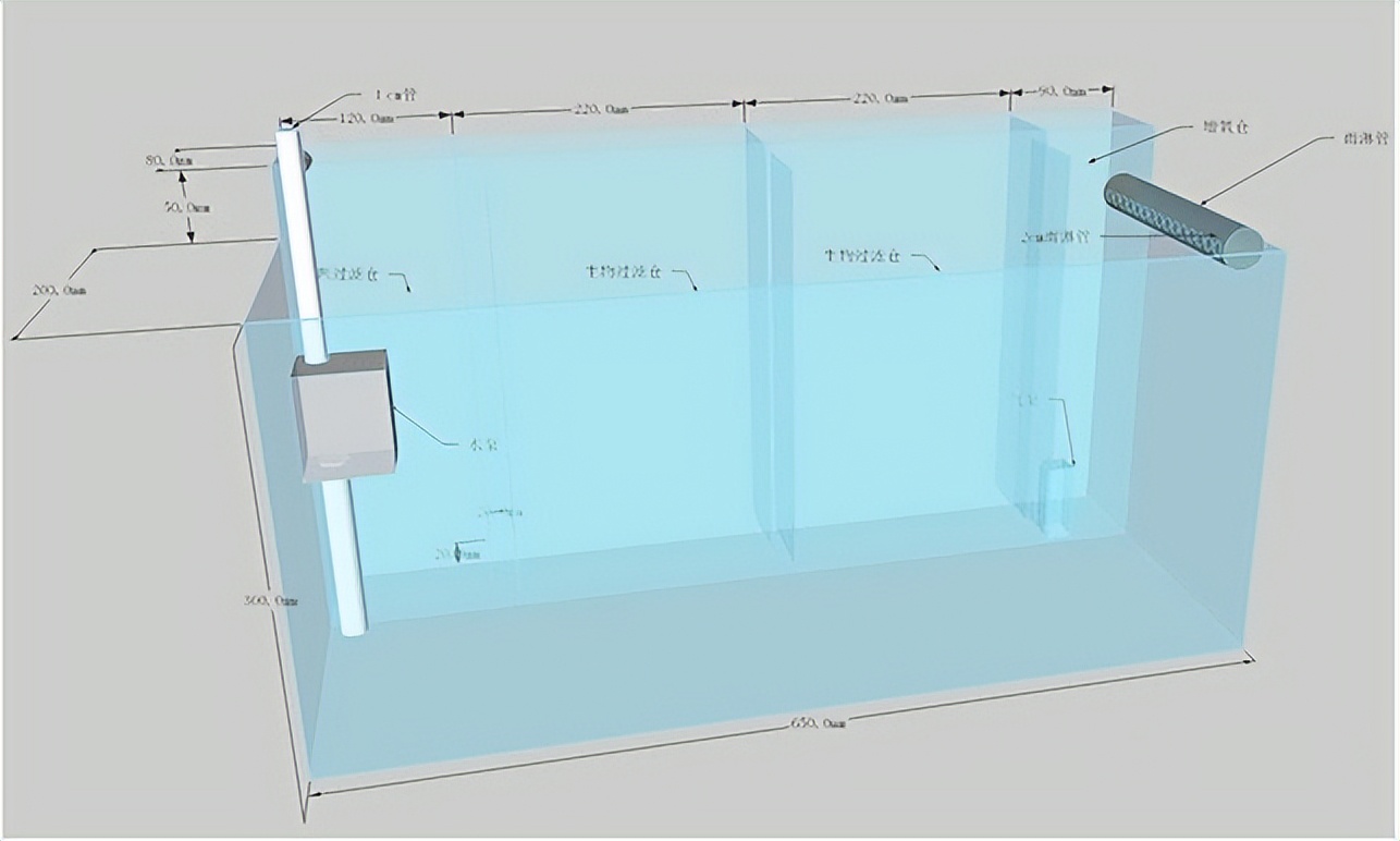 大型鱼缸制作全过程自制,自制简易大型鱼缸全部过程