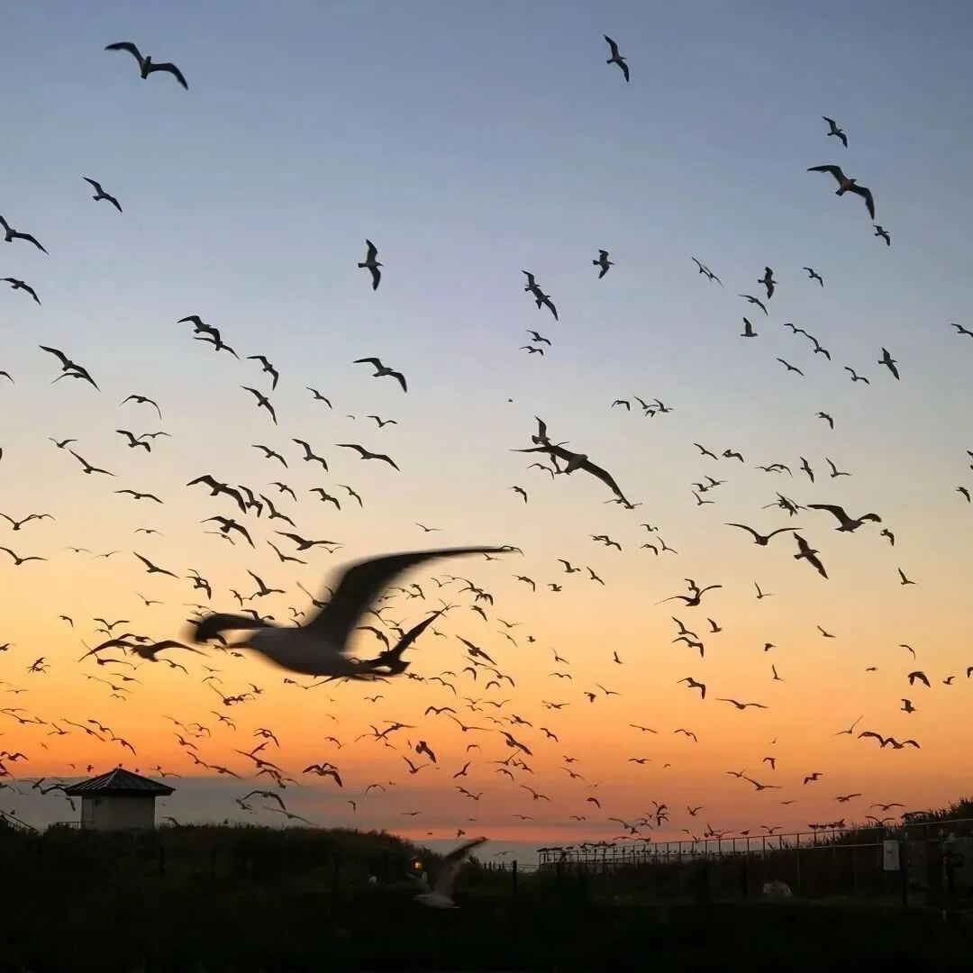 鏈夋剰鎬濈殑濮撴皬璋愰煶缃戝悕,寰愬姘忚皭闊虫涓夊瓧缃戝悕