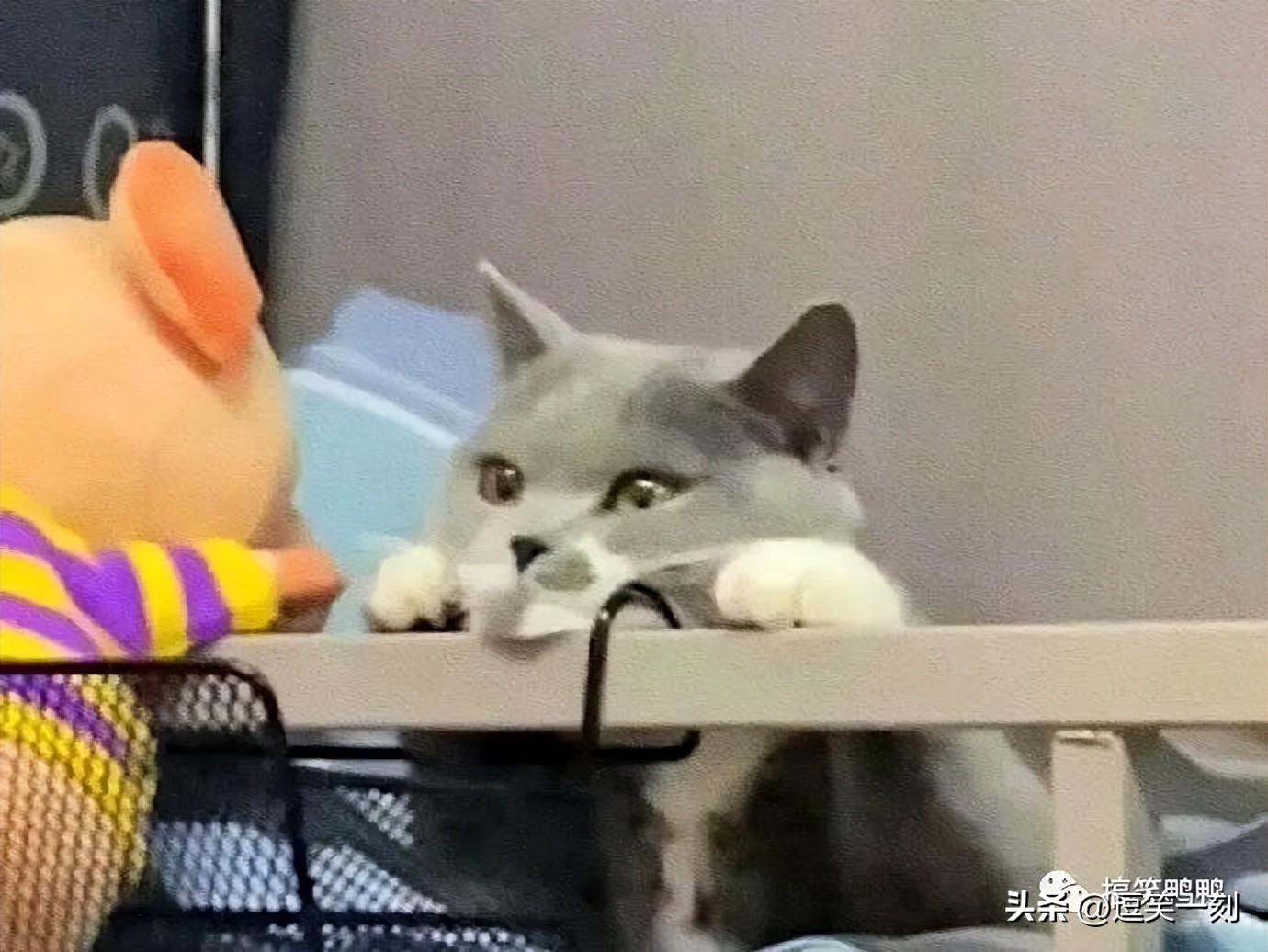 生日时送男朋友气垫？哈哈哈学会了，以后对象生日就这样整