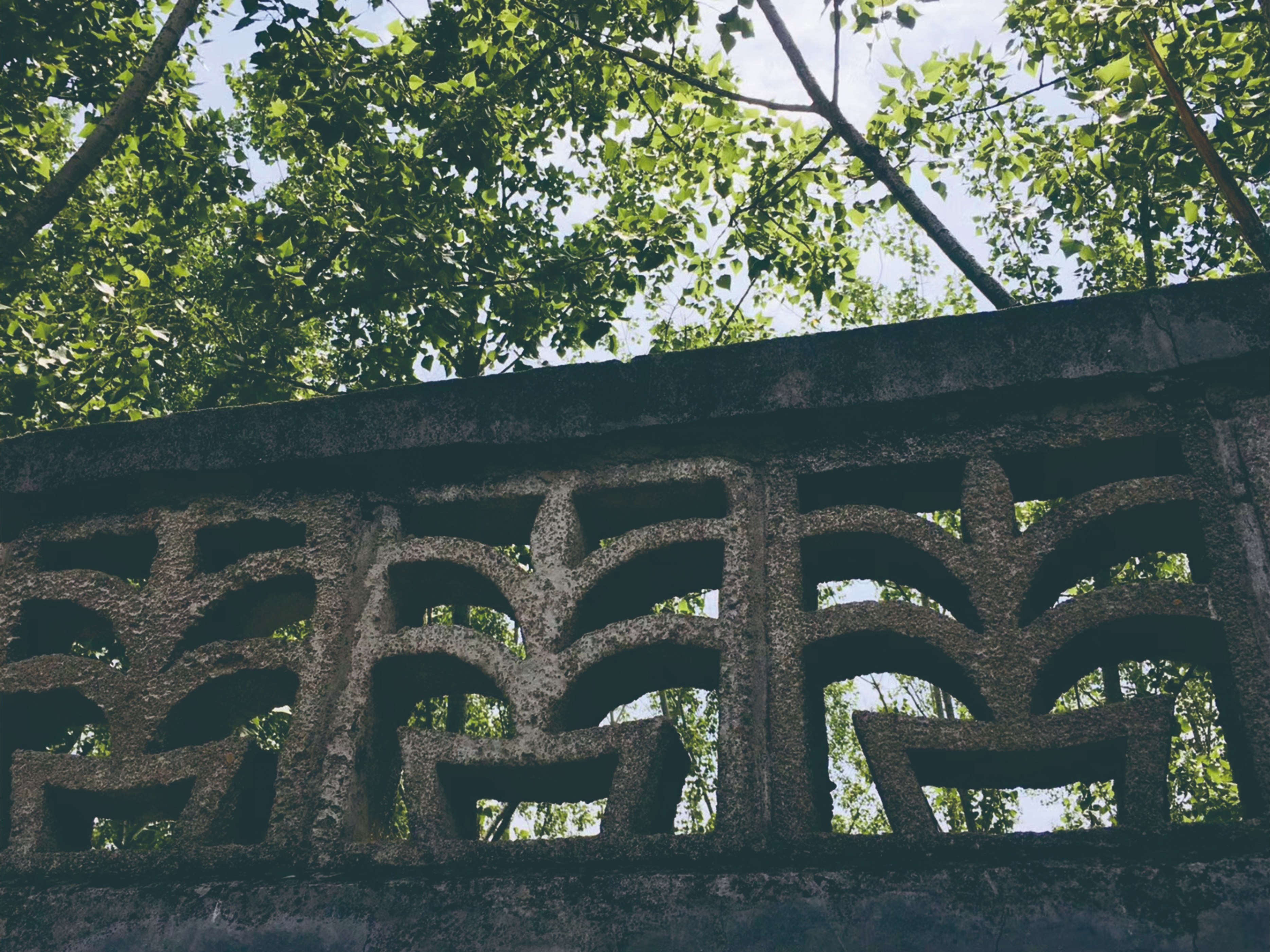 大泽乡起义的事实,大泽乡起义直接原因和根本原因