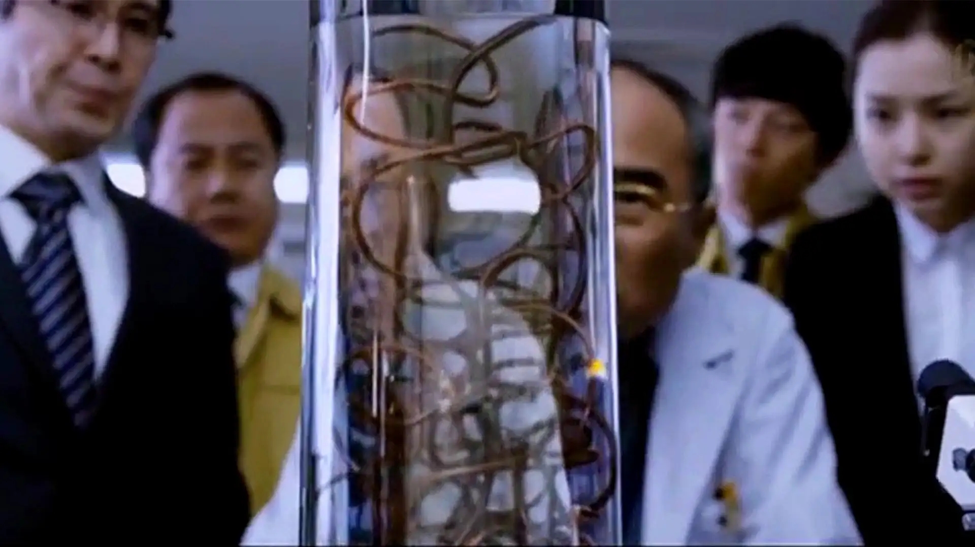 自然界的丧尸病毒,自然界的丧尸