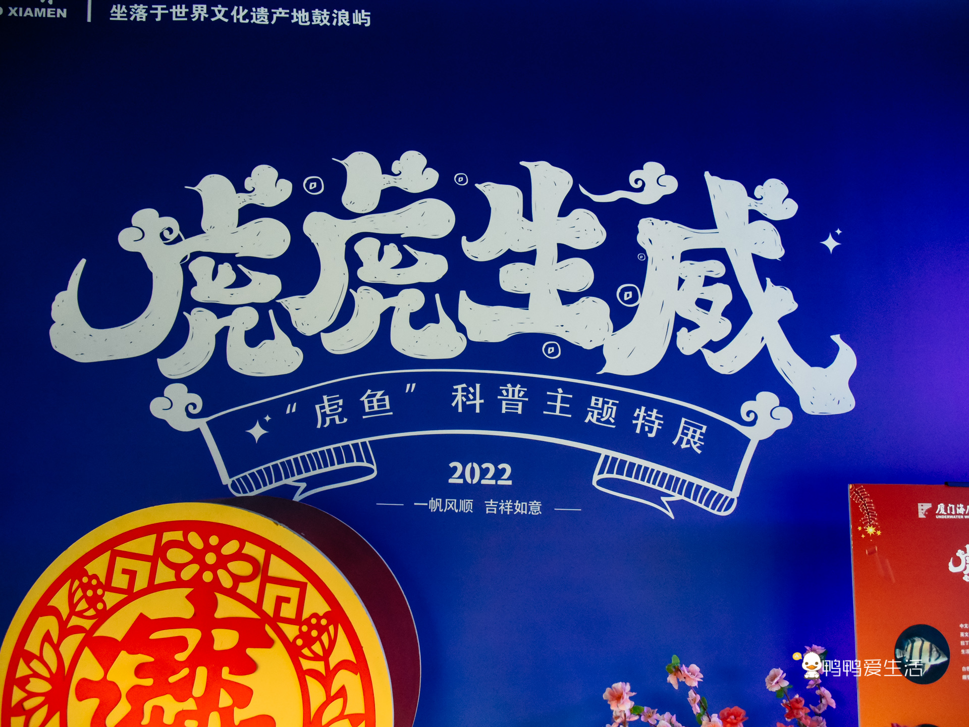 厦门鼓浪屿海底世界的抹香鲸,厦门鼓浪屿亲子旅游攻略