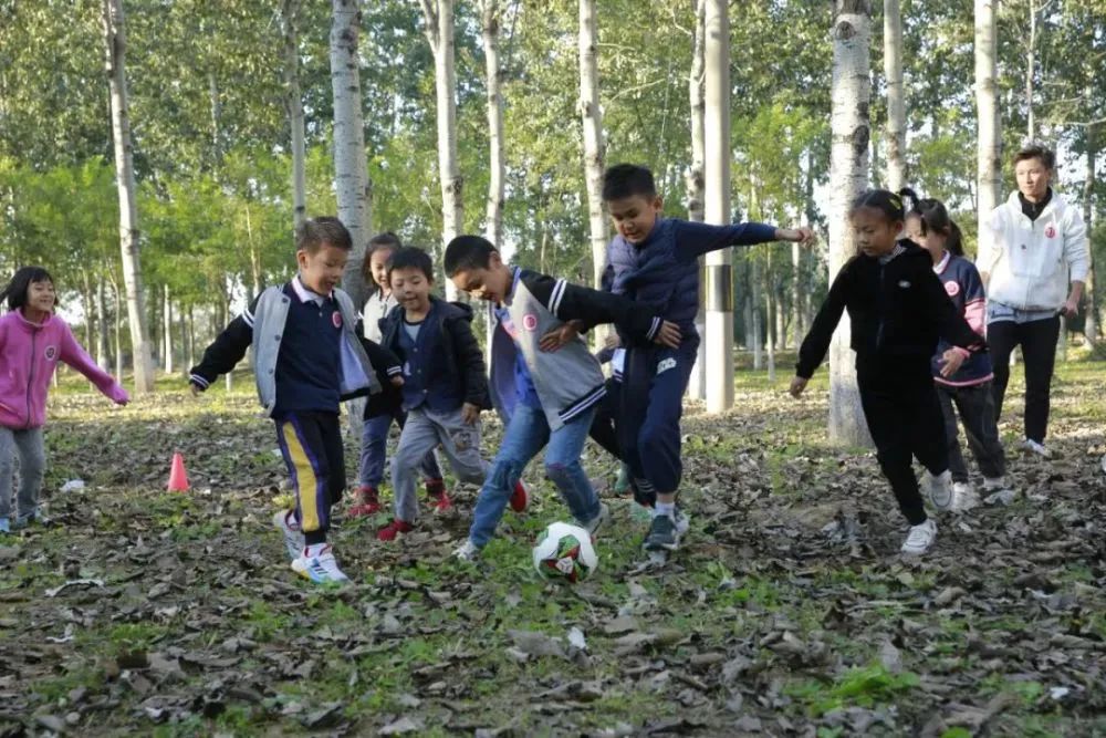 一所学校的办学特色,传统文化下的学校教育发展