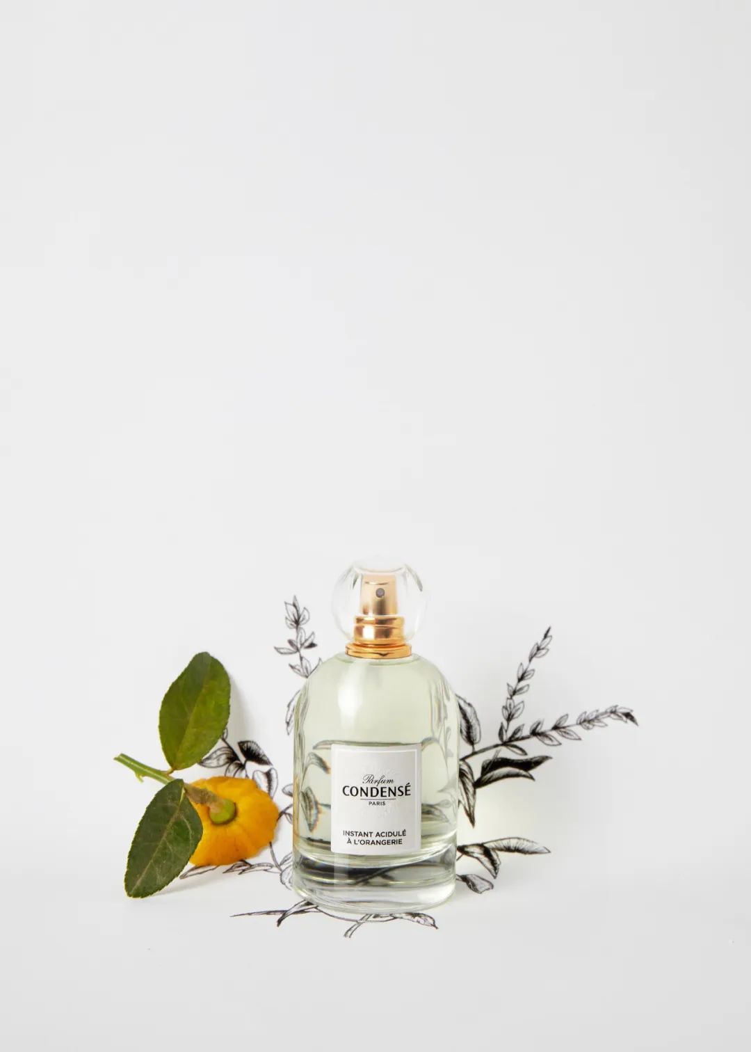 法国珂蒂丝包装,法国珂蒂丝雕塑精华