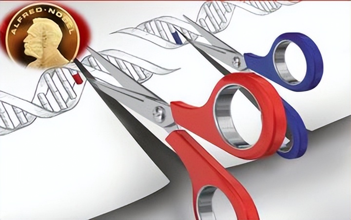 探索声波能否传递能量的实验,新型纳米材料在医学上的应用