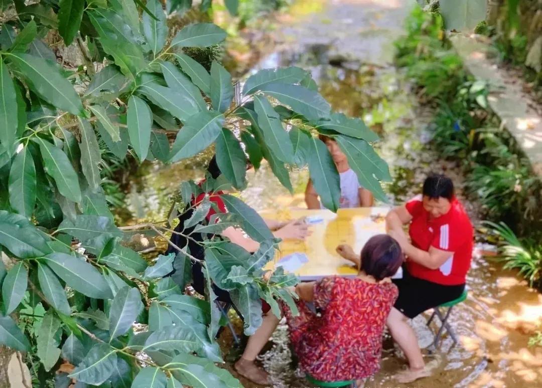 广州摘荔枝一日游最佳路线,从化自驾游荔枝采摘园