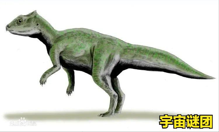 恐龙小百科认识更多的恐龙,恐龙大百科里有什么没见过的恐龙