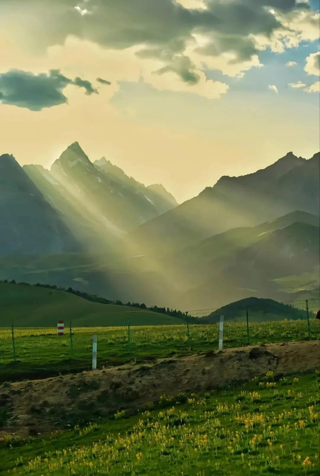 几乎每个人知道不忘初心方得始终,不忘初心方得始终要达到的成效