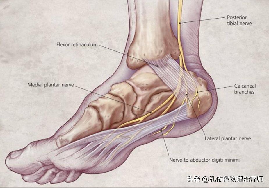脚部信号透露健康问题,脚部出现这6种症状