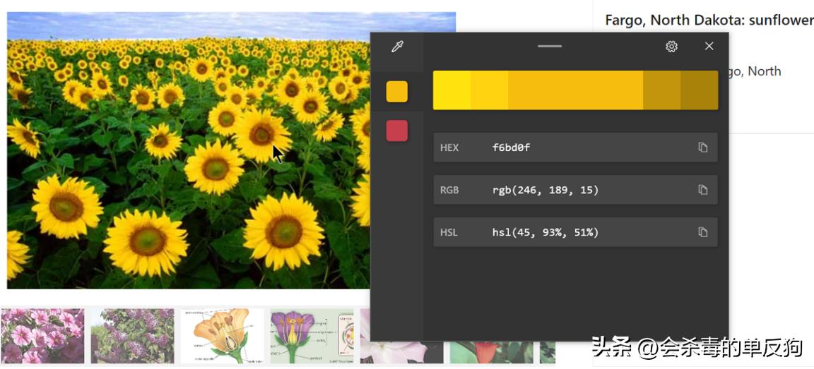 微软正为powertoys打造全新主页,微软自家的powertoys