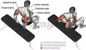 一周健身增肌训练计划,哑铃家庭一周训练计划