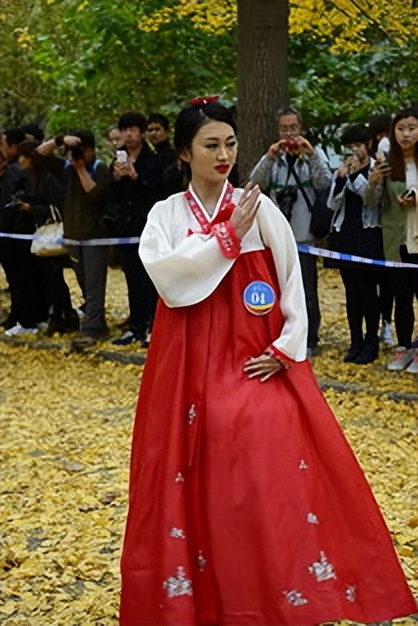 马面裙是不是东方的美,马面裙是迪奥的还是中国的