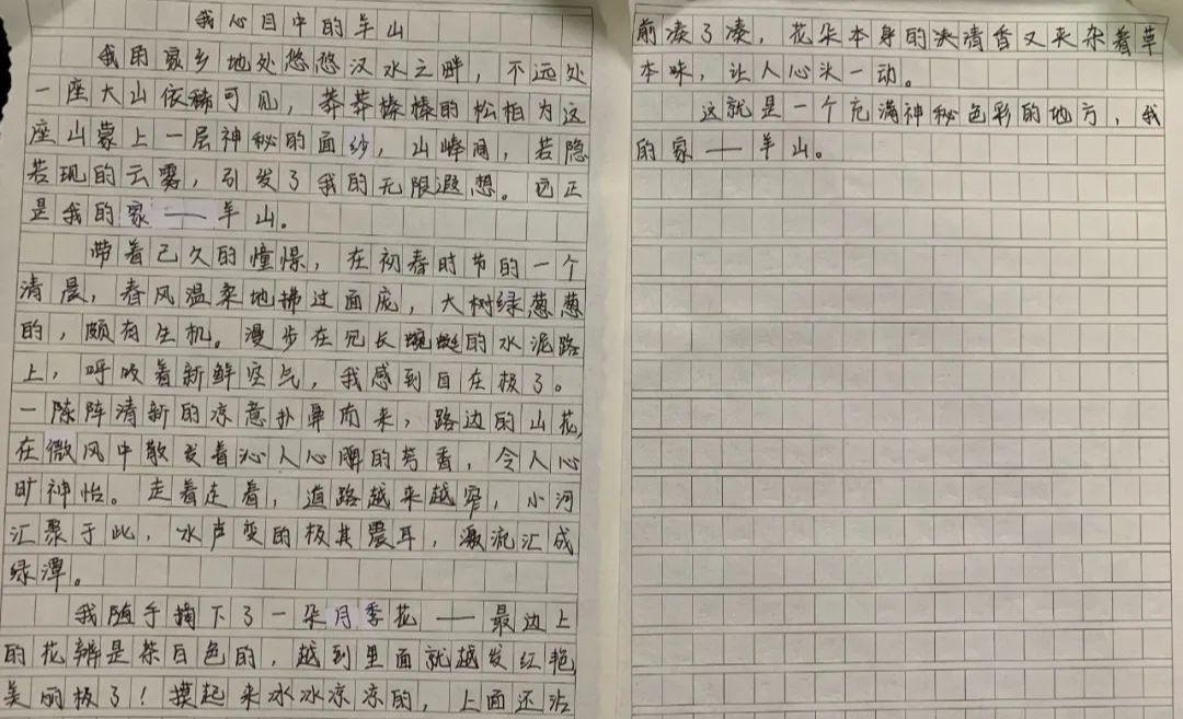 羊山新区十一小和羊山五小哪个好,羊山新区五小学校