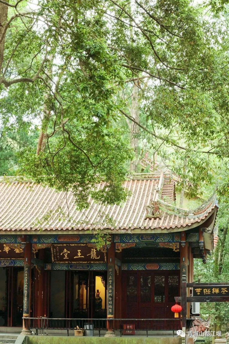 抓住秋天的尾巴！都江堰必打卡的8大晚秋好去处，步青山观烟岚云岫、入古城拾千年烟火，来过都会爱上