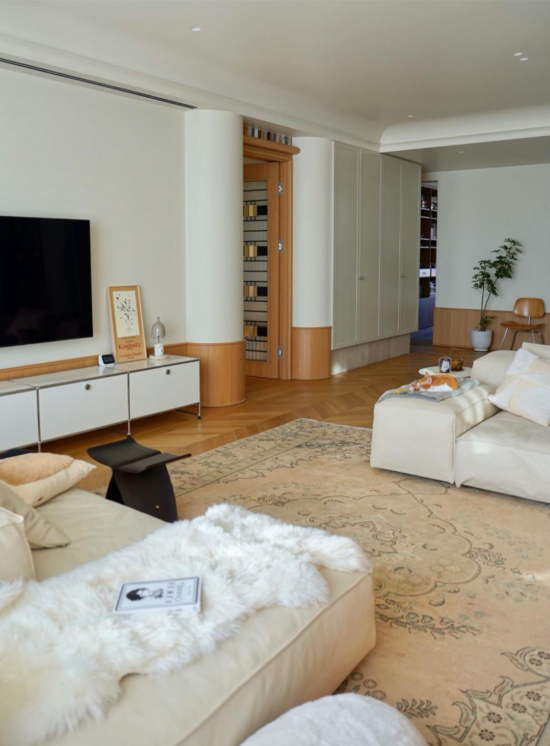 北京夫妻花光积蓄把225㎡改成一居:不要孩子、折腾房子,好任性