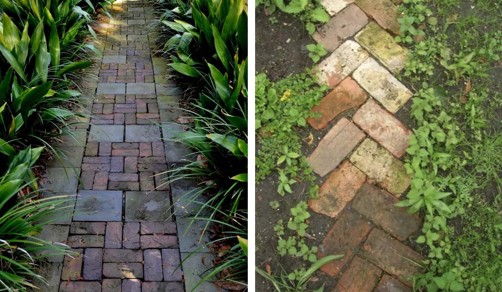 风云四季无余乐，一片痴情寄绿园，哪些往事让养花大叔最常追忆？