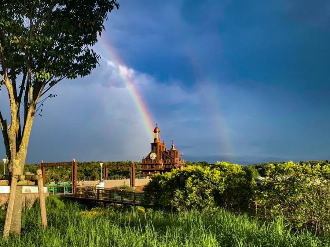 宫崎骏退休发布会,82岁宫崎骏退休之作定档