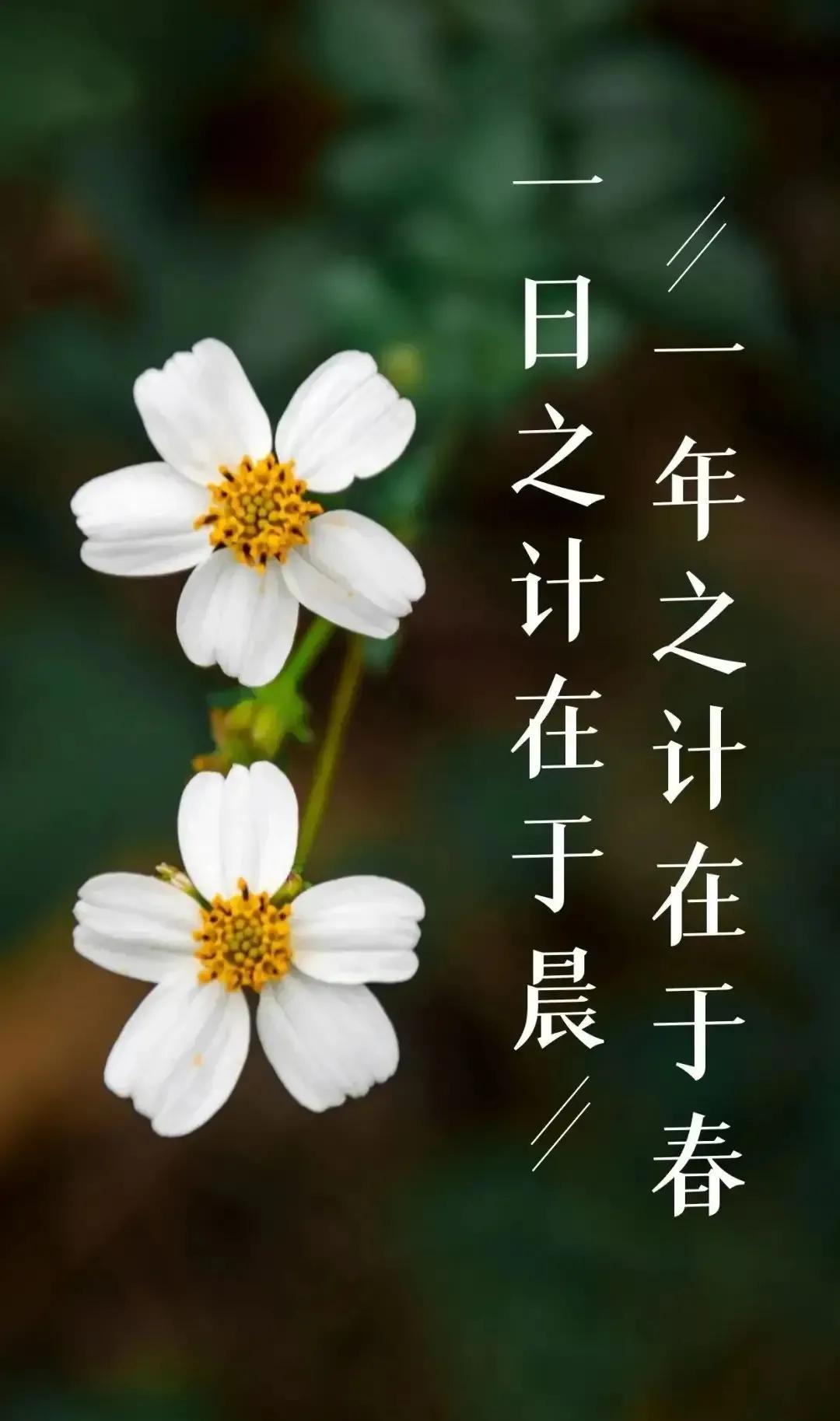 2023年02月27日星期一农历:癸卯年【兔年】二月初八八九第5天