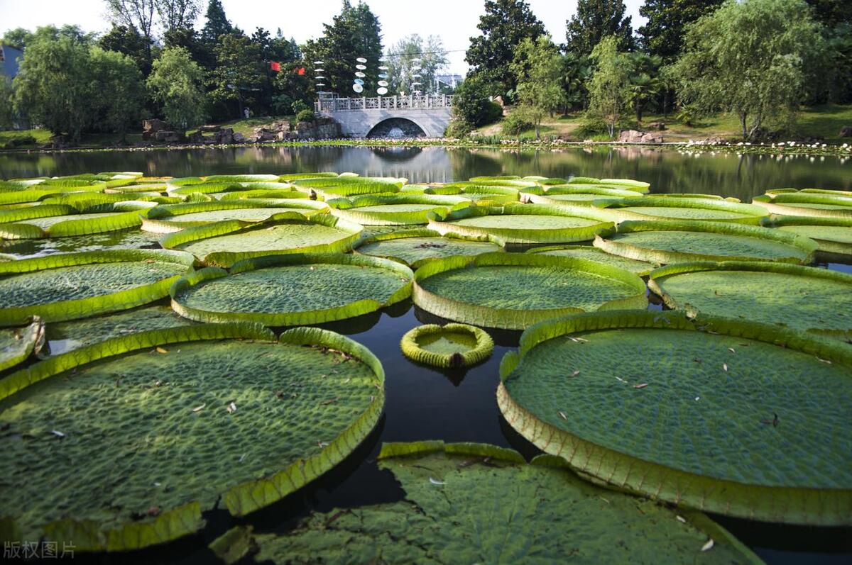 合肥旅游必去十大景点推荐理由,安徽合肥旅游必去十大景点排名