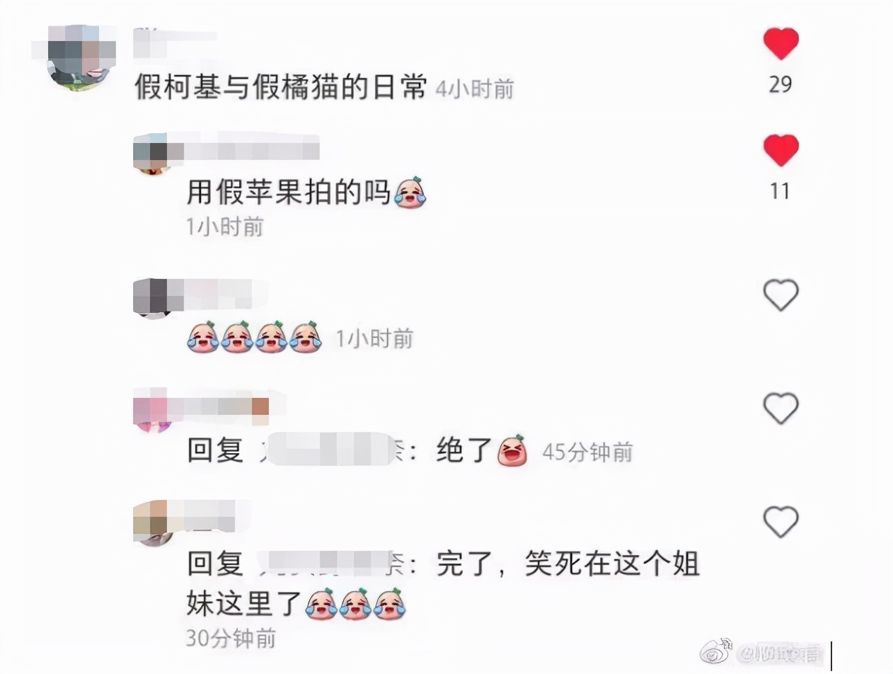 家庭监控下的一幕真实视频完整版,家庭监控下的真实一幕