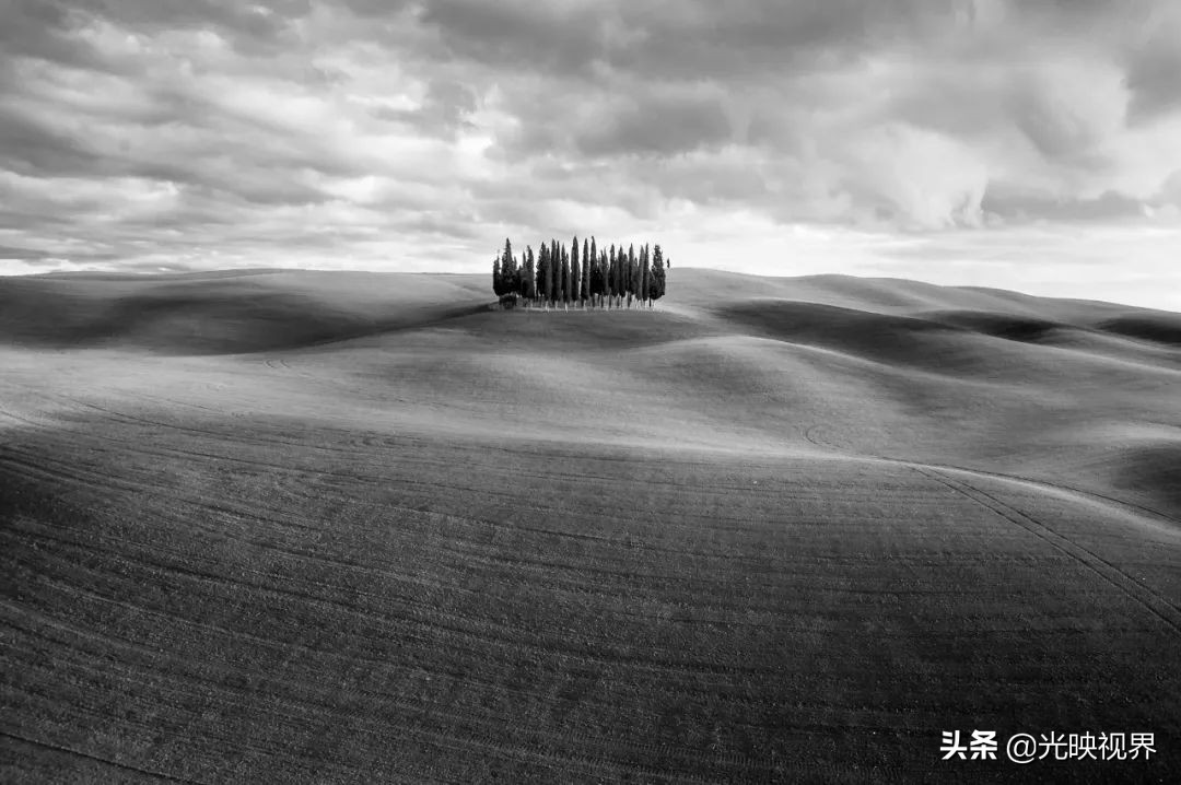 科学与艺术结合，展现自然之美——2021年世界自然摄影奖获奖作品