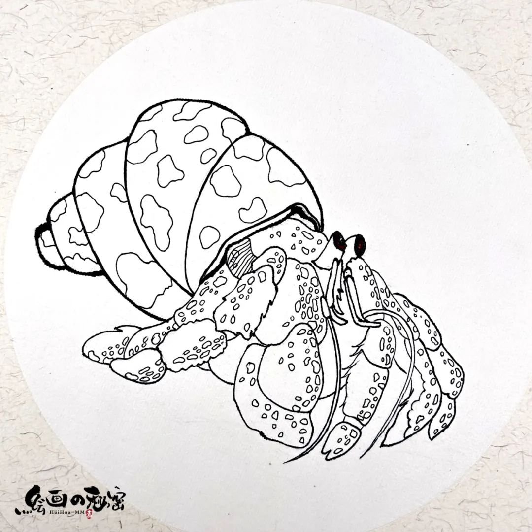 寄居蟹沙子要湿的还是干的,寄居蟹怎么养