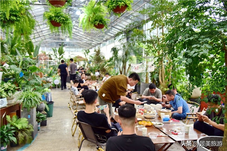 一壶围炉煮茶月引客上万人，佛山旺林艺术花园将网红项目变现