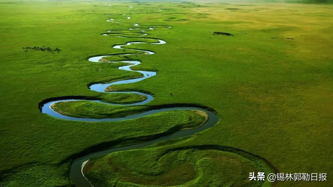 这部在锡盟取景拍摄的电影荣获第41届香港金像奖最佳亚洲华语电影!