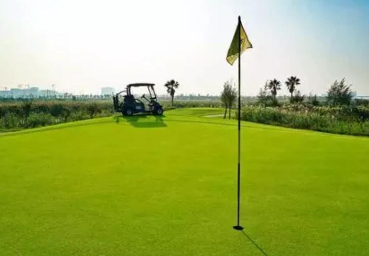 一般草坪多少钱,草坪每平方报价多少