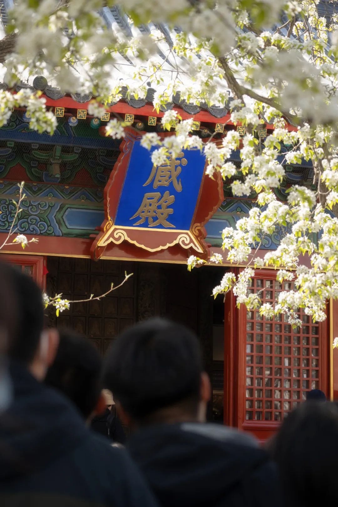 中国最灵的寺庙雍和宫,不要再去一个人挤人的景点