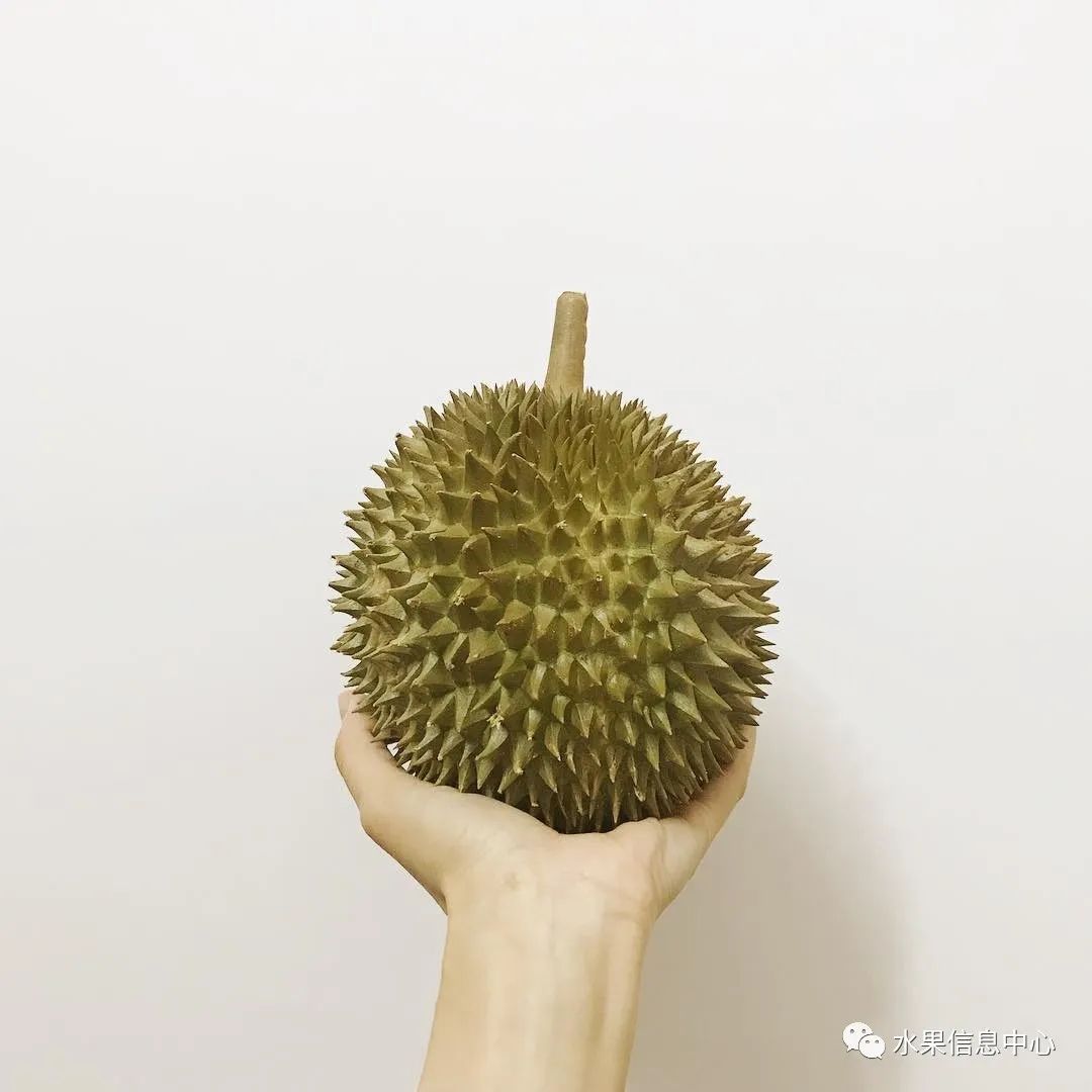 盘点那些迷你的东西,盘点不同样子的水果