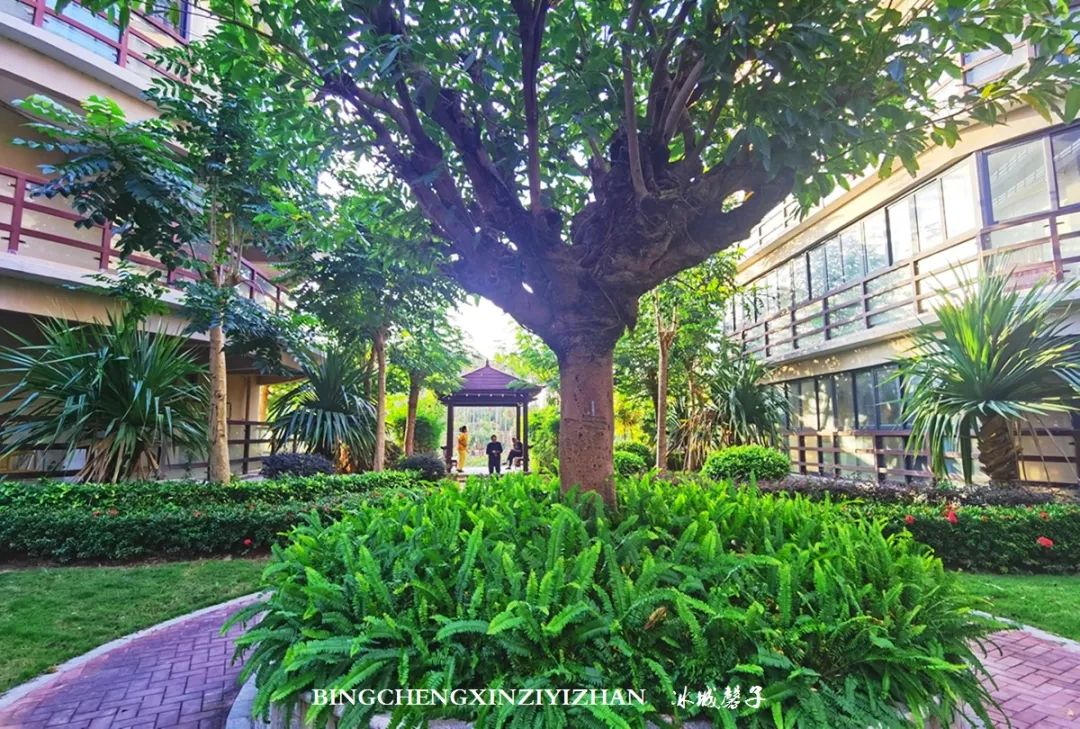 旅居海南,旅居式旅游生活海南