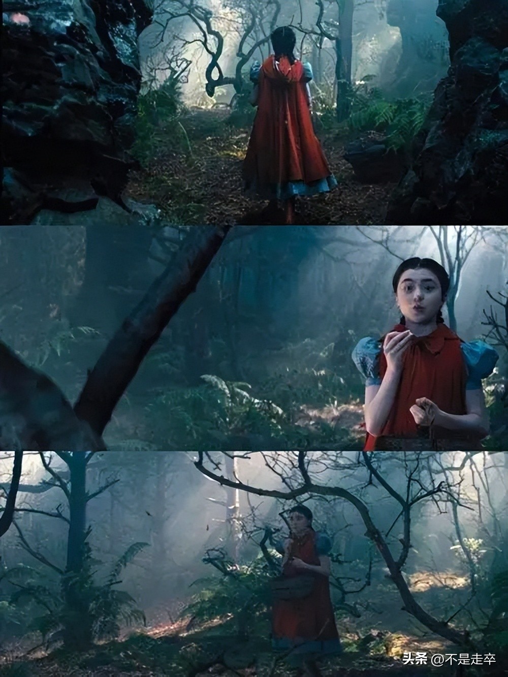 黑暗森林中的奇幻冒险,魔法黑森林看法