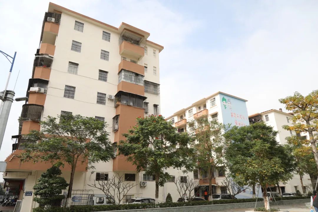 民生实事暖民心|老旧小区改造、保障房建设……美好安居体验让百姓收获满满幸福