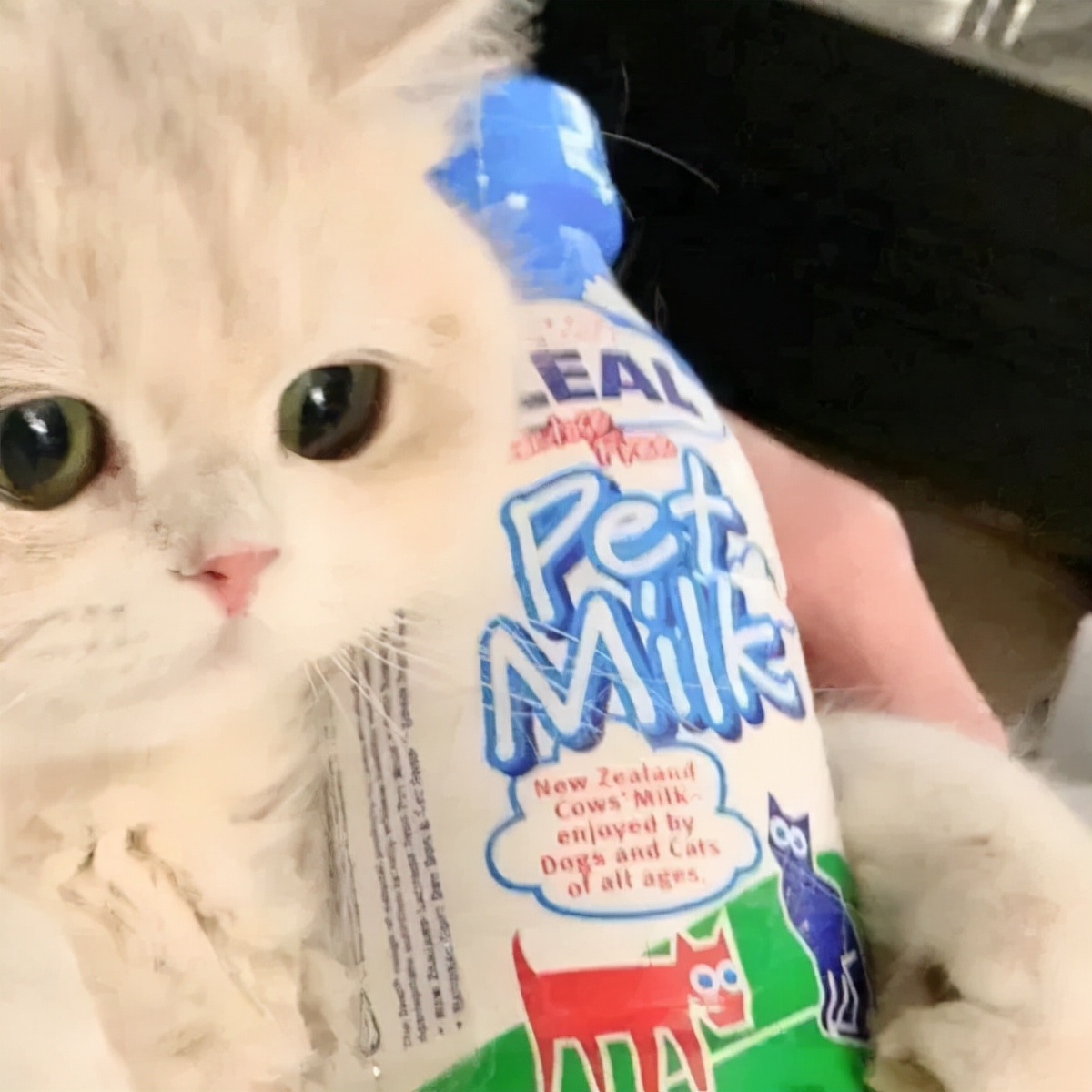 抖音男生动漫头像,抖音超仙头像动漫