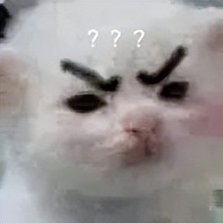 金晨炽道是本色出演吗,金晨王安宇炽道什么剧