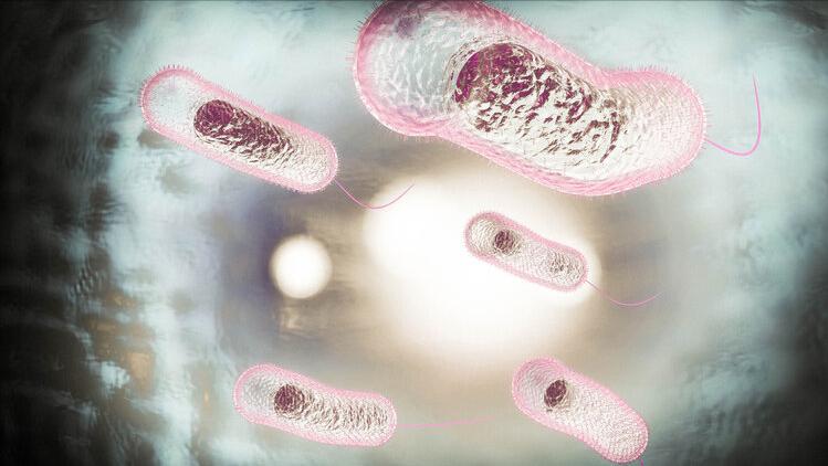 阿莫西林别乱吃只对6种病有效,阿莫西林要认清只对这4种病有效