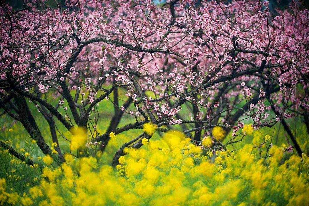 5月底桂林梯田摄影,桂林阳朔山水风光摄影团攻略