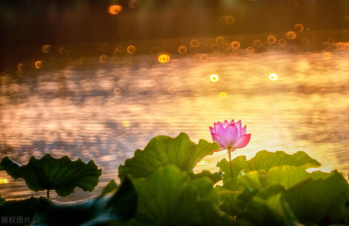 好书推荐《私密》：我供我哥上大学，他却抢了我的女人