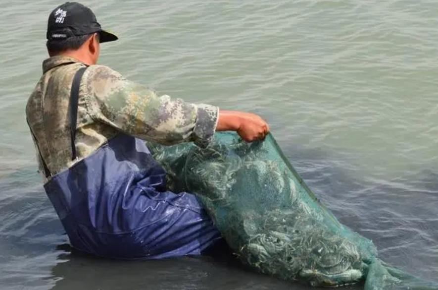 小螃蟹变身抢手货，小虫子变为致富法宝，男子年销8000万