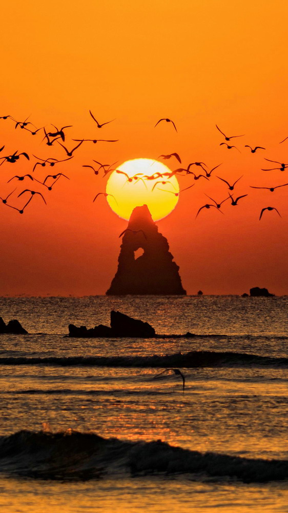 钟奋生每日精彩分享,钟奋生今日头条