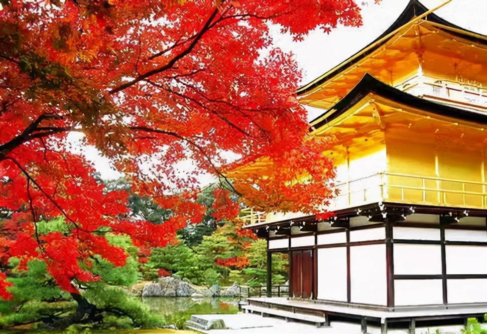 鏃ユ湰绛捐瘉鎷掔鍑犵巼澶у悧,鏃ユ湰绛捐瘉鎷掔