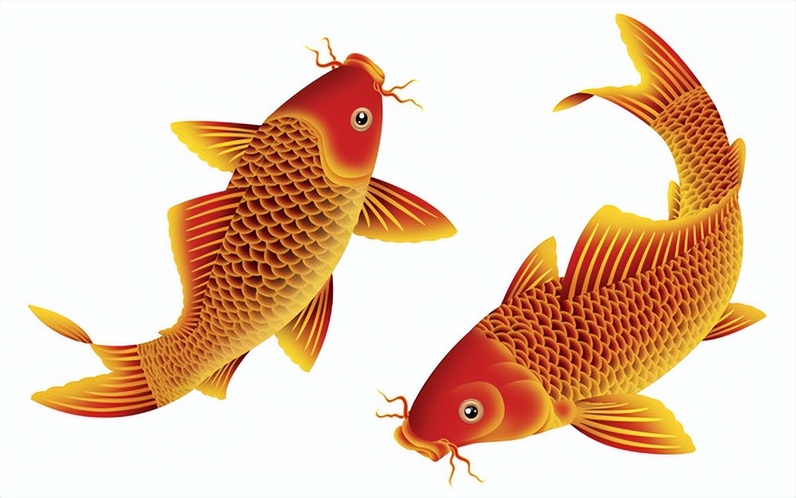 今日足球比赛分析佛罗伦萨,欧协杯佛罗伦萨对西汉姆比分