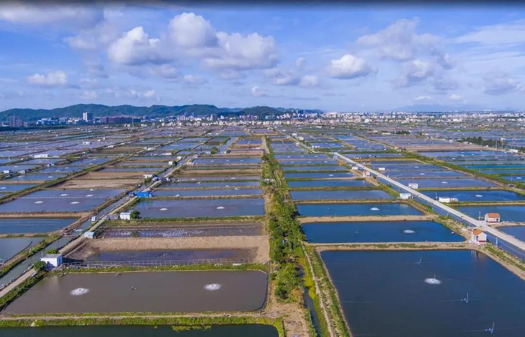 直交1500元保险享30万理赔,全市首单理赔政策