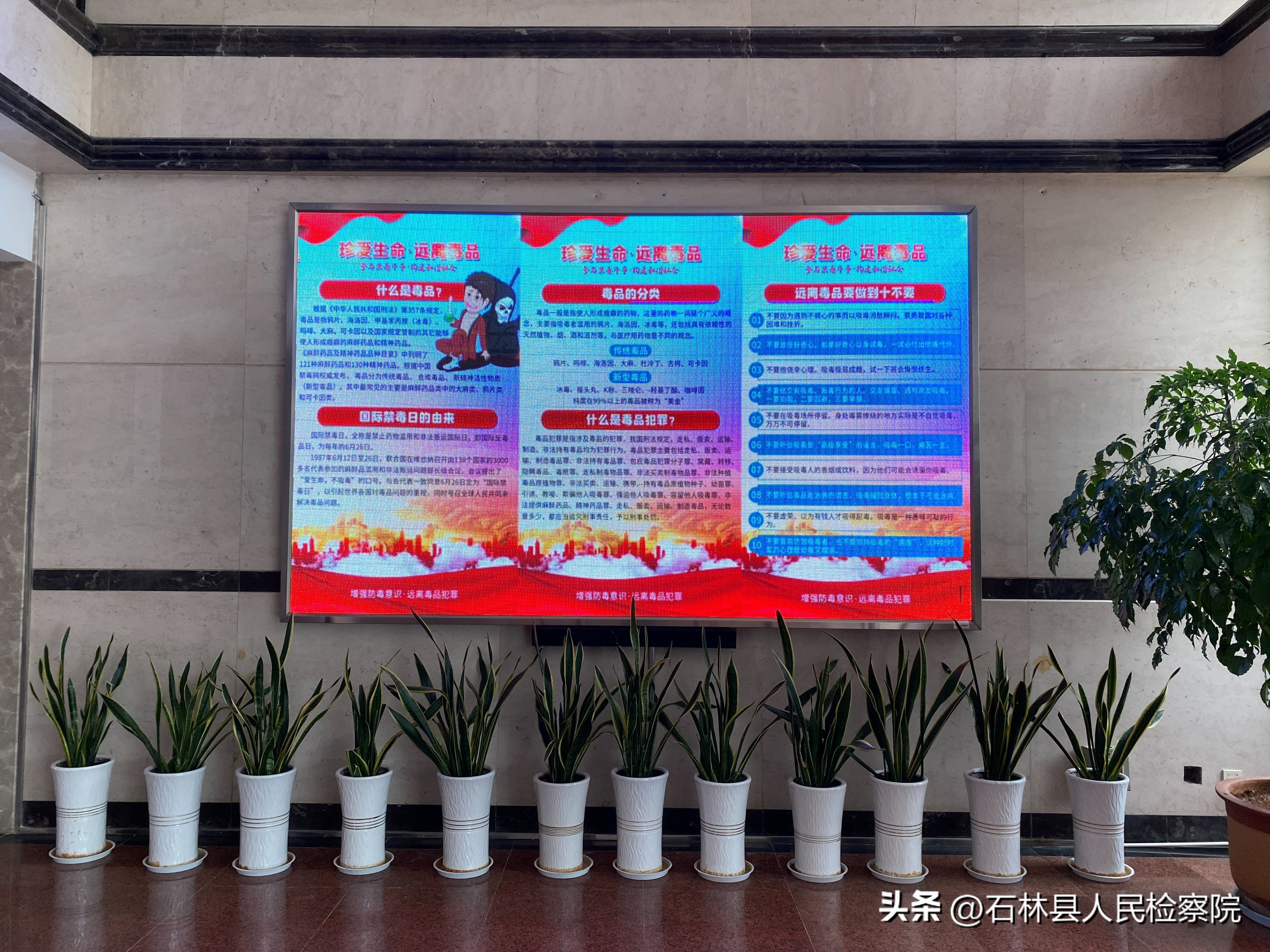 开展6.26国际禁毒日宣传教育活动,6.26世界禁毒日开展禁毒花样宣传