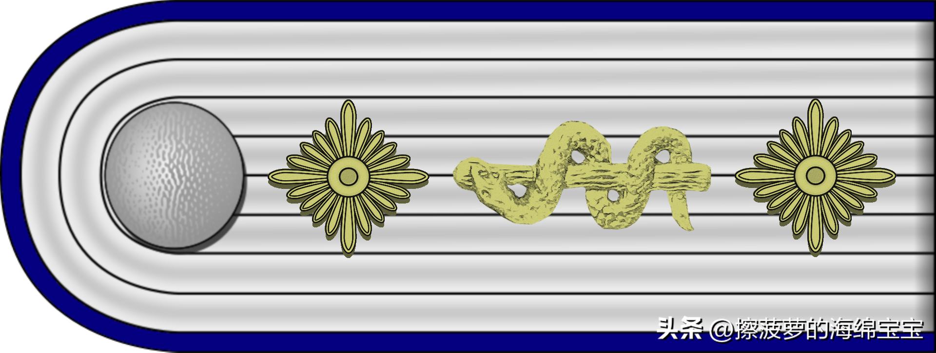 二战德国国防军医疗兵军衔标志