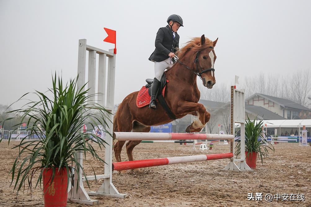 2022年安徽省青少年马术锦标赛暨第一届全国学生（青年）运动会马术运动资格选拔赛开幕