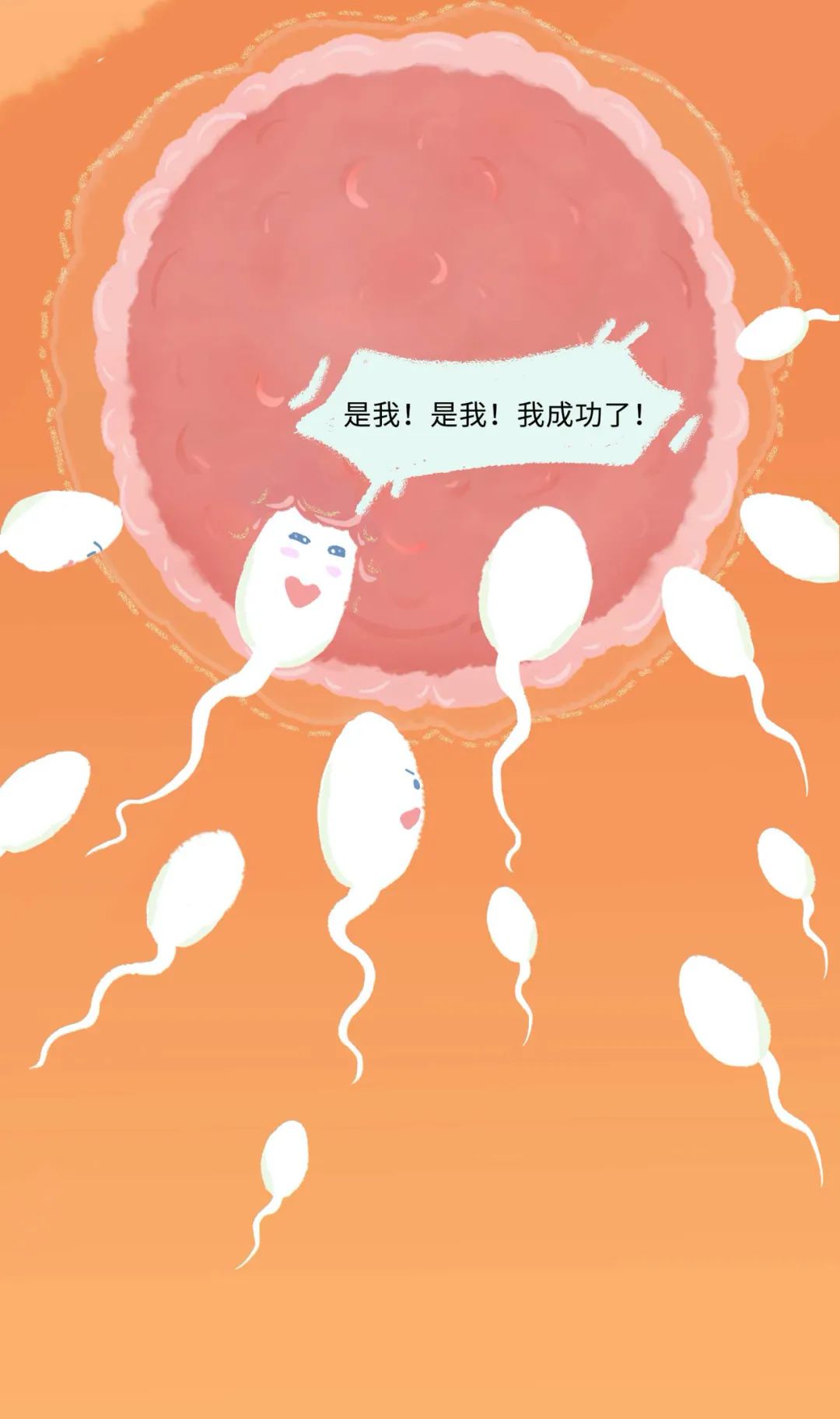 精子进入女生体内的全过程曝光！不要再傻傻不清楚